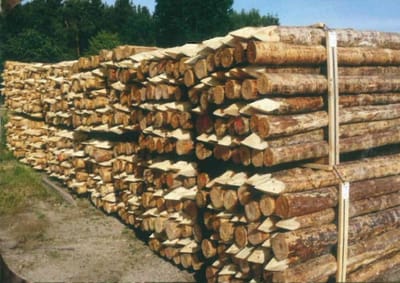 Weidepfähle, rund,  Fi./Ki., roh, naturrund