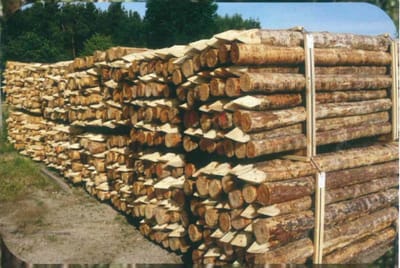 Weidepfähle, rund,  Fi./Ki., roh, naturrund