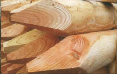 Weidepfähle, Lärche, rund, roh, gefräst, gefast