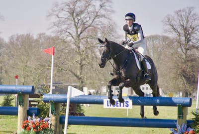 Hindernisstangen - Kernholz, 1-farbig, ab Werk