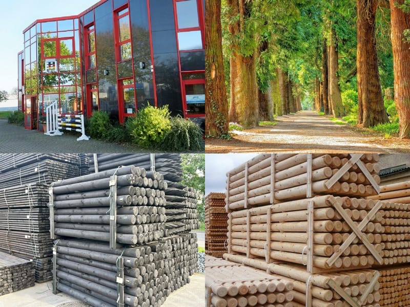Pferdeweidepfähle