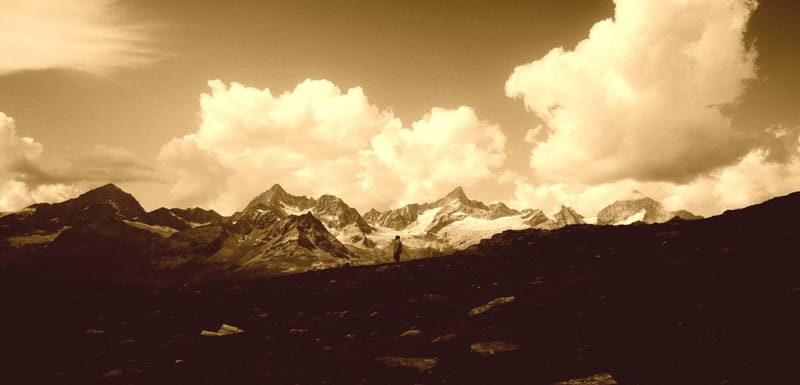 Which is batter, NDA or CDS?