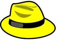 SOMBRERO AMARILLO  image