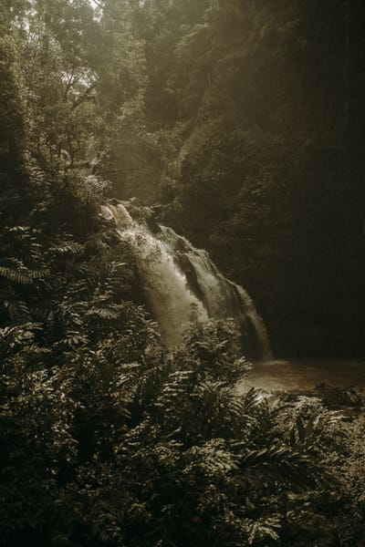 Structured Weight Loss Programs