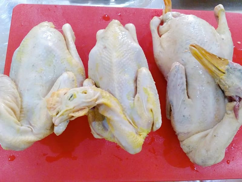 Vịt nhà làm sạch