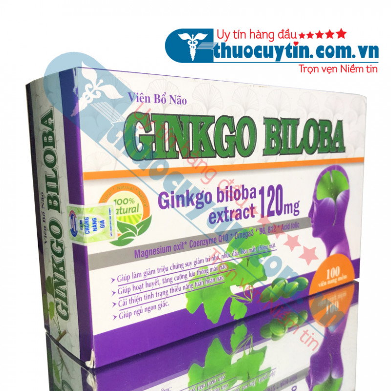 Ginkgo Biloba 120mg bổ não, tăng cường trí nhớ