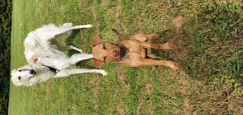 Roquette et Roustand