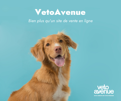 BOUTIQUE EN LIGNE image