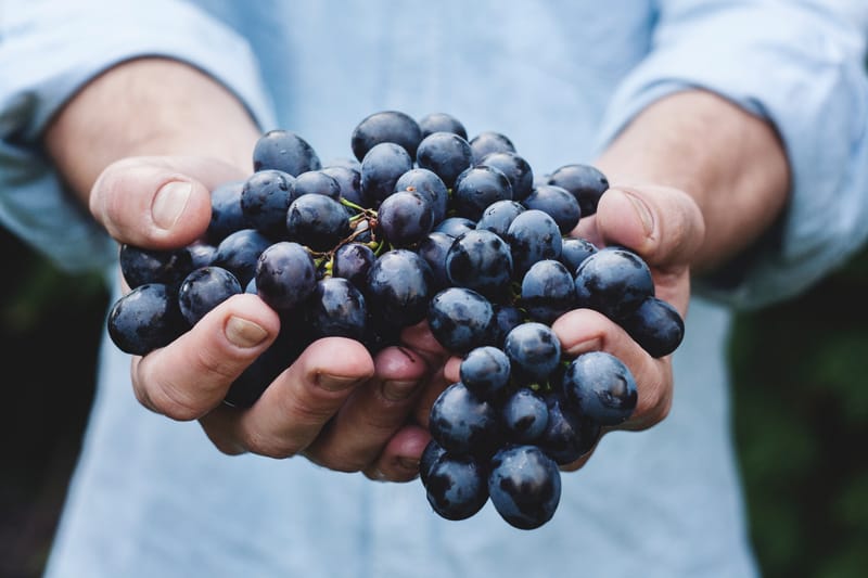 Are grape seeds edible?