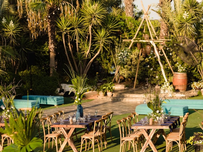 יוליה & דיויד