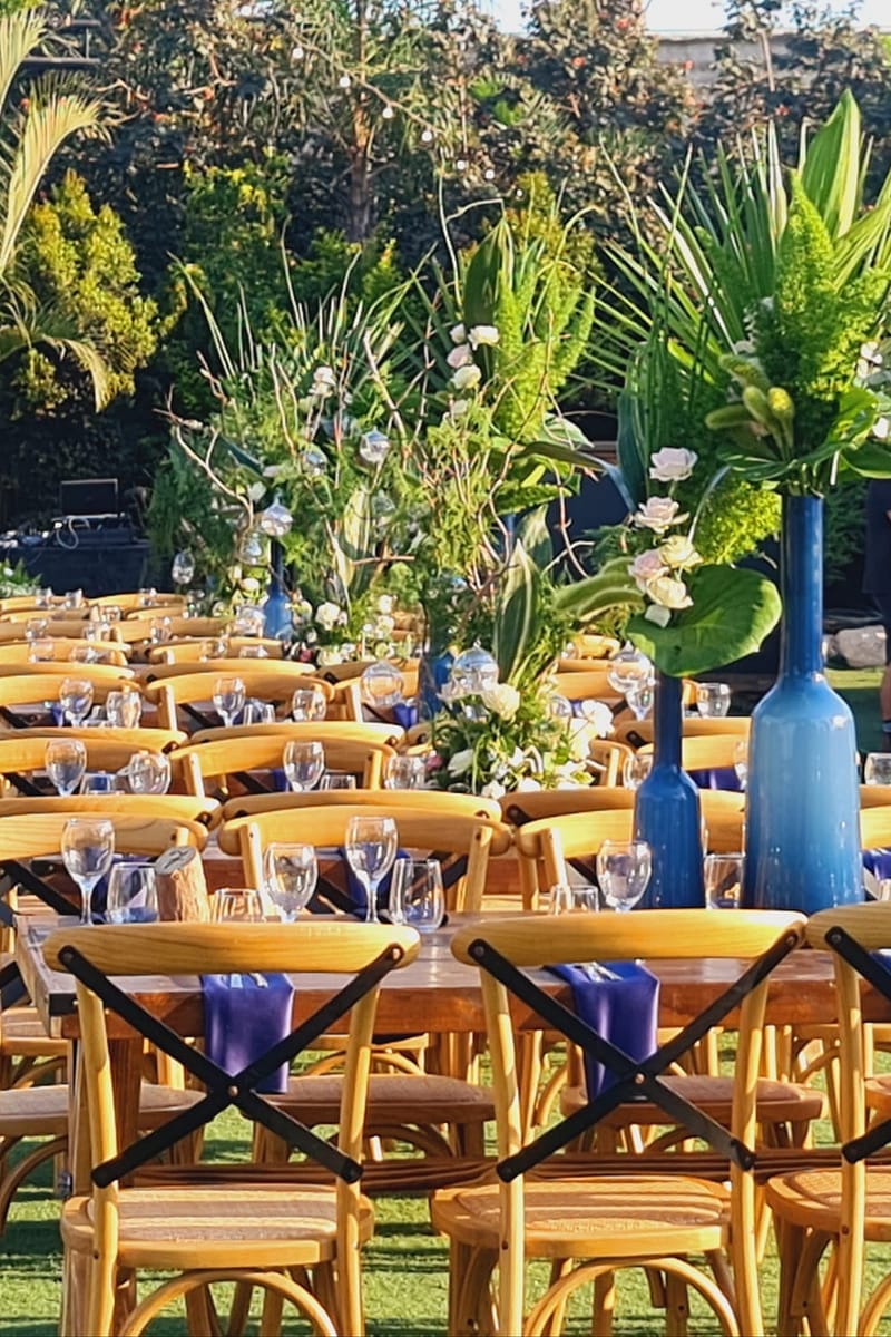 יוליה & דיויד