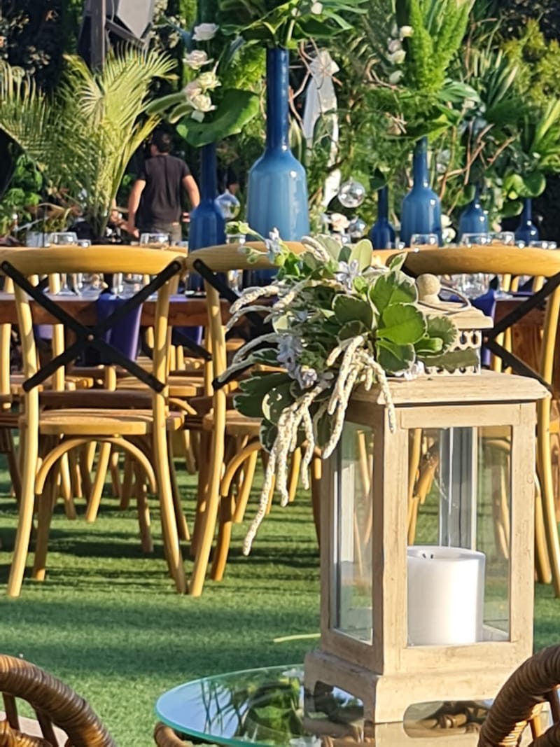 יוליה & דיויד