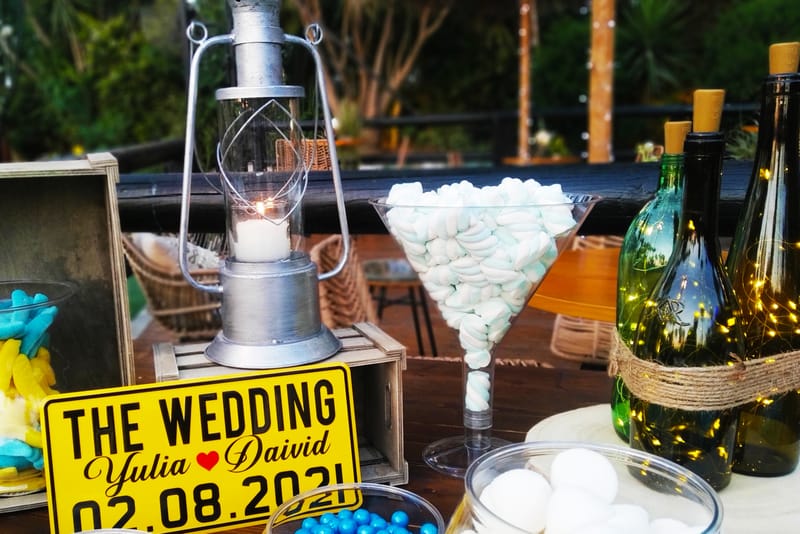 יוליה & דיויד