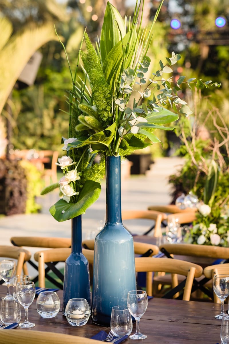 יוליה & דיויד