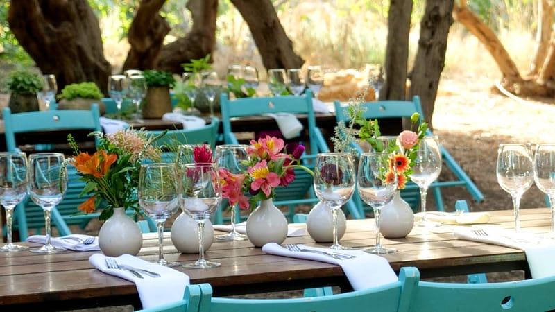 ליטל & לירז | 500 איש