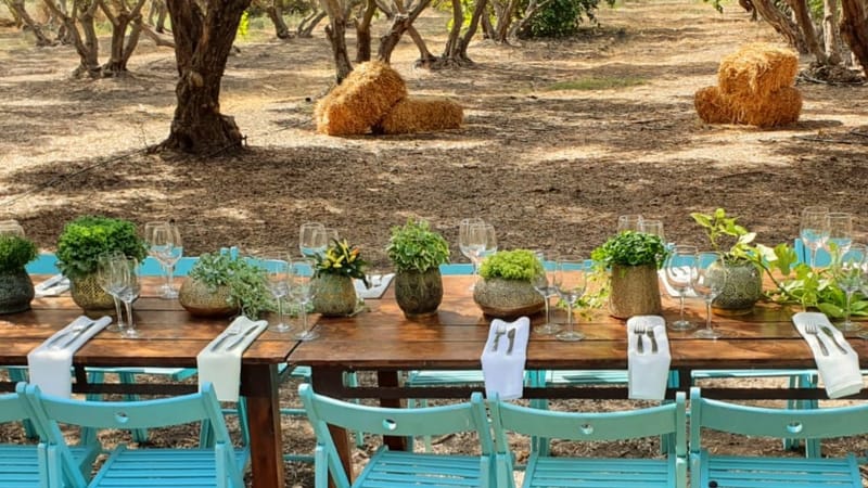 ליטל & לירז | 500 איש