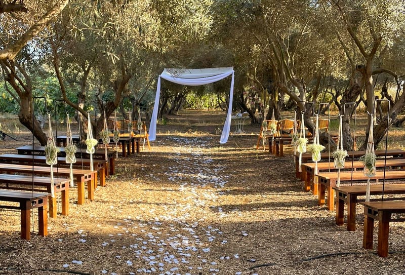 ליטל & לירז | 500 איש