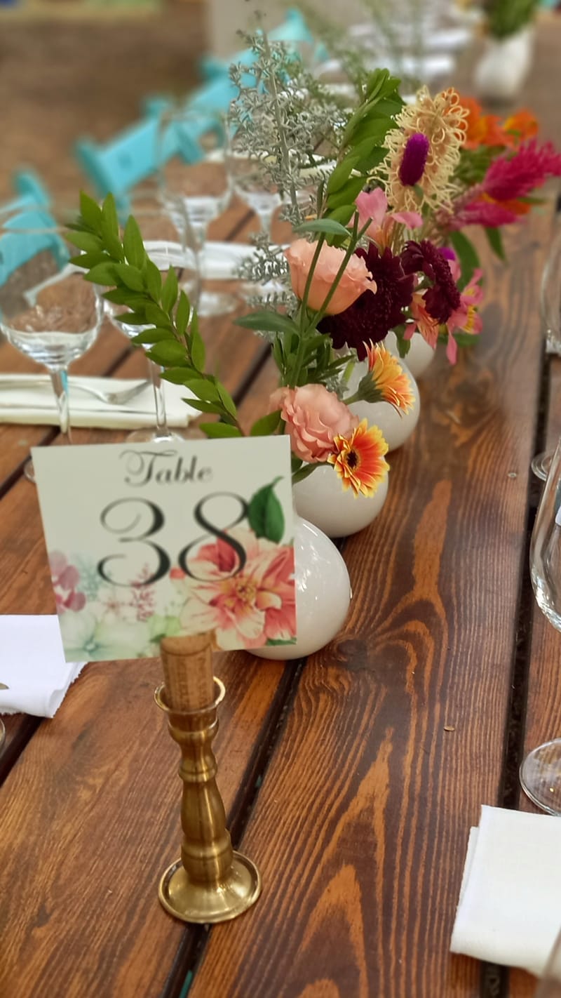 ליטל & לירז | 500 איש