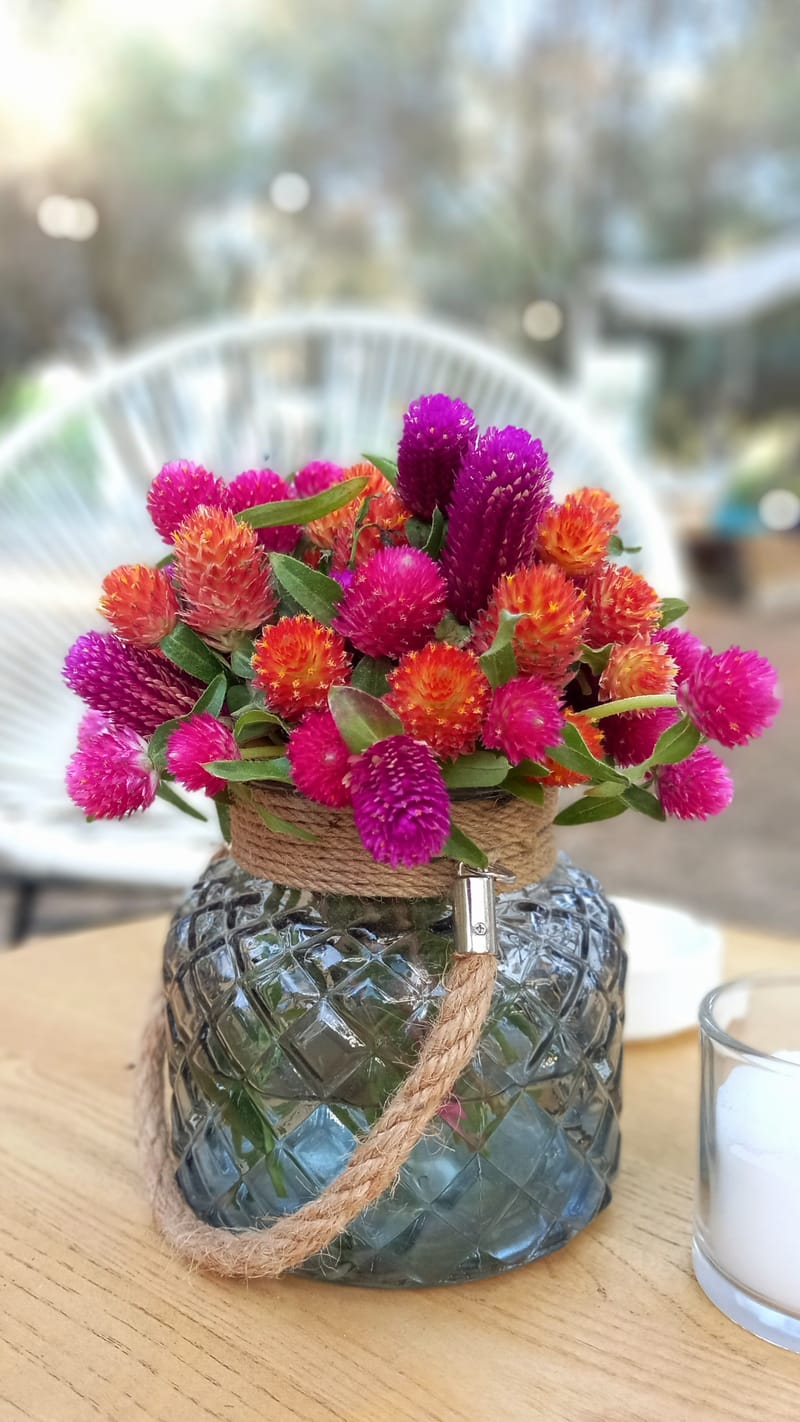 ליטל & לירז | 500 איש