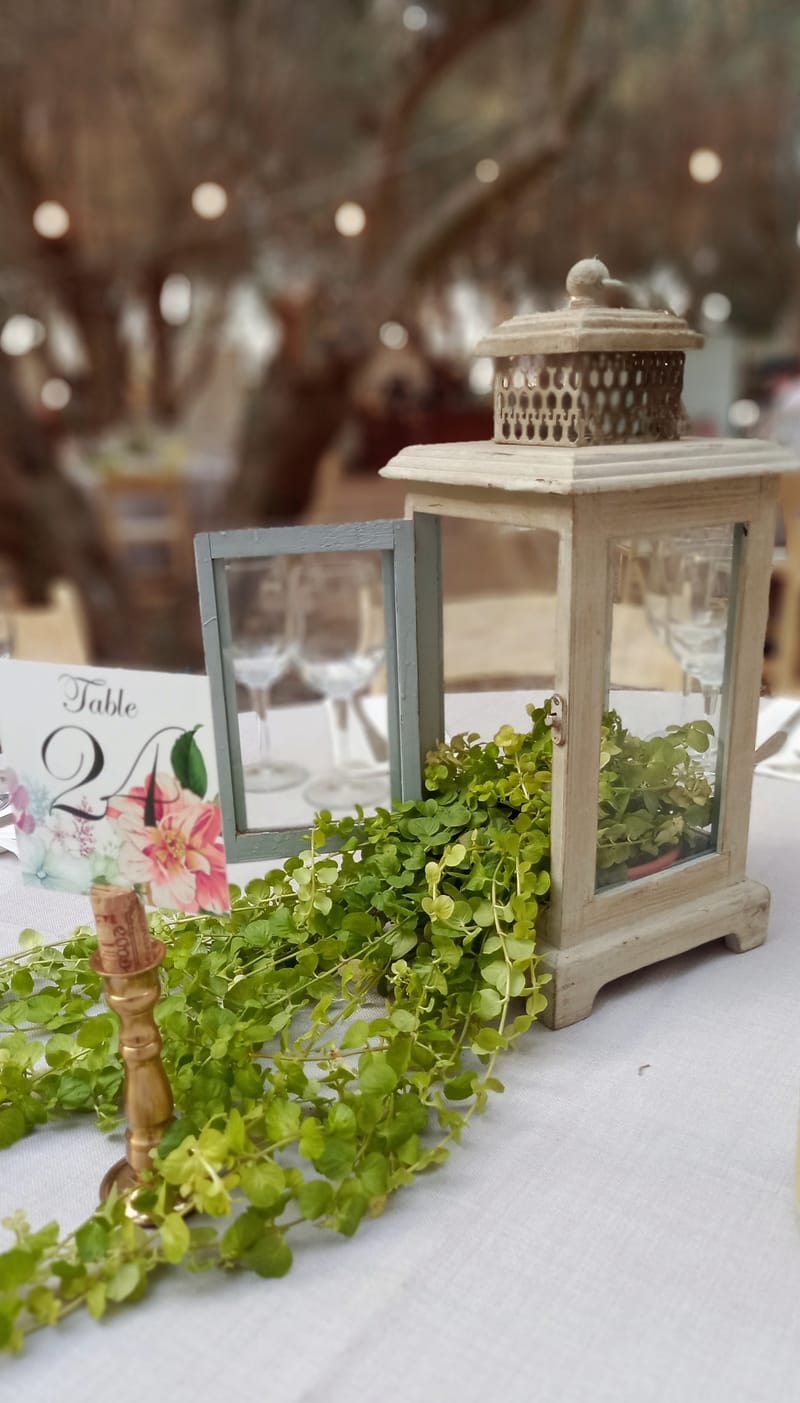 ליטל & לירז | 500 איש