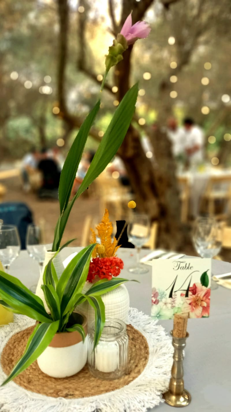 ליטל & לירז | 500 איש