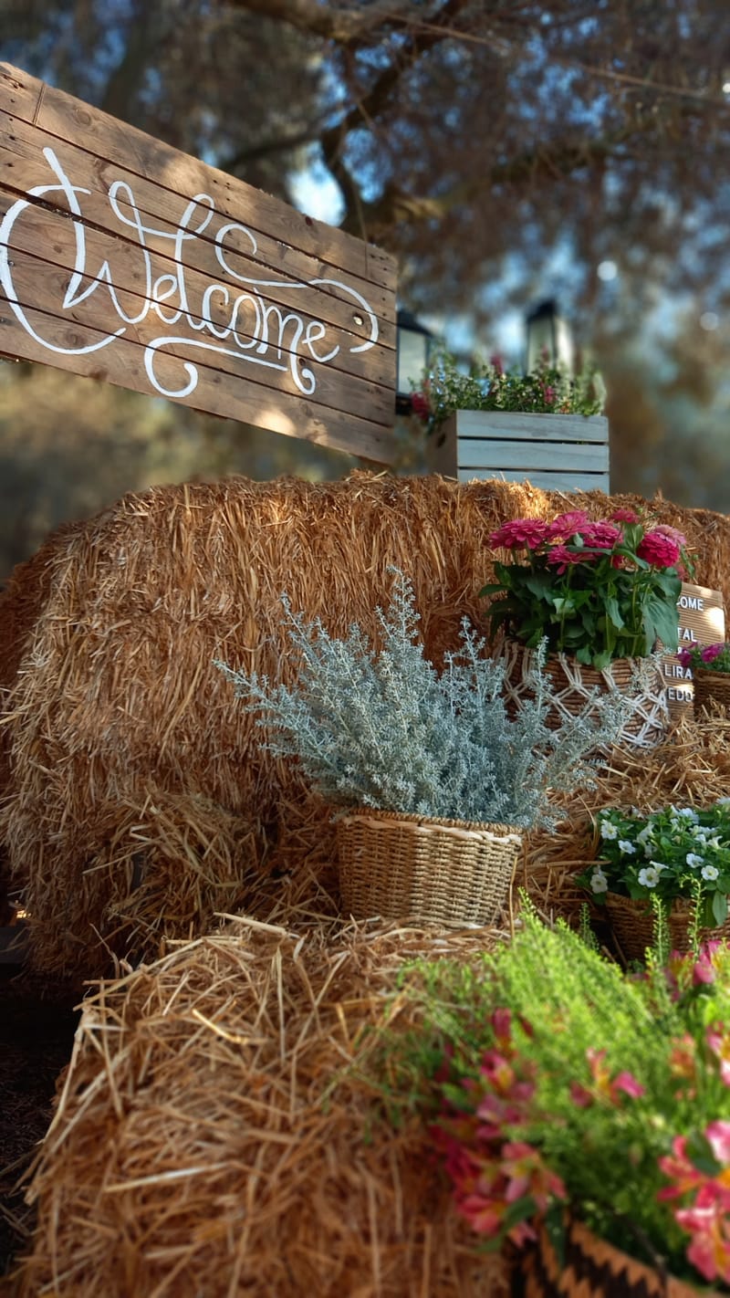 ליטל & לירז | 500 איש