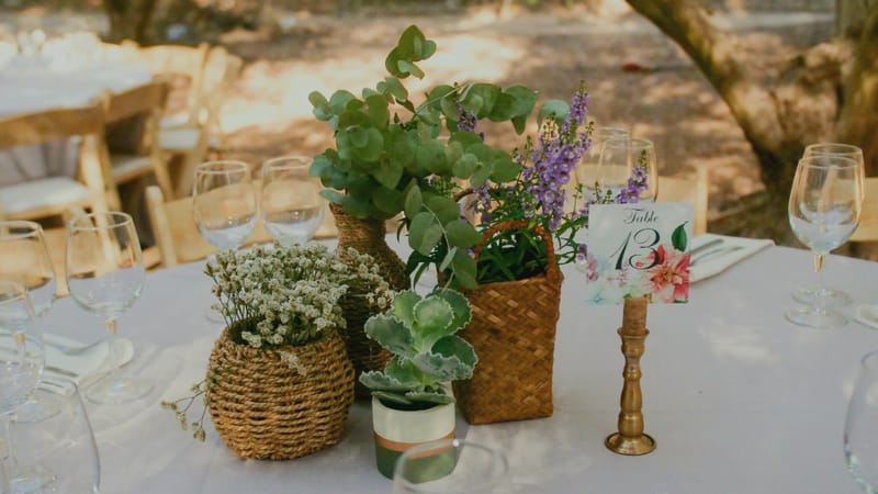 ליטל & לירז | 500 איש