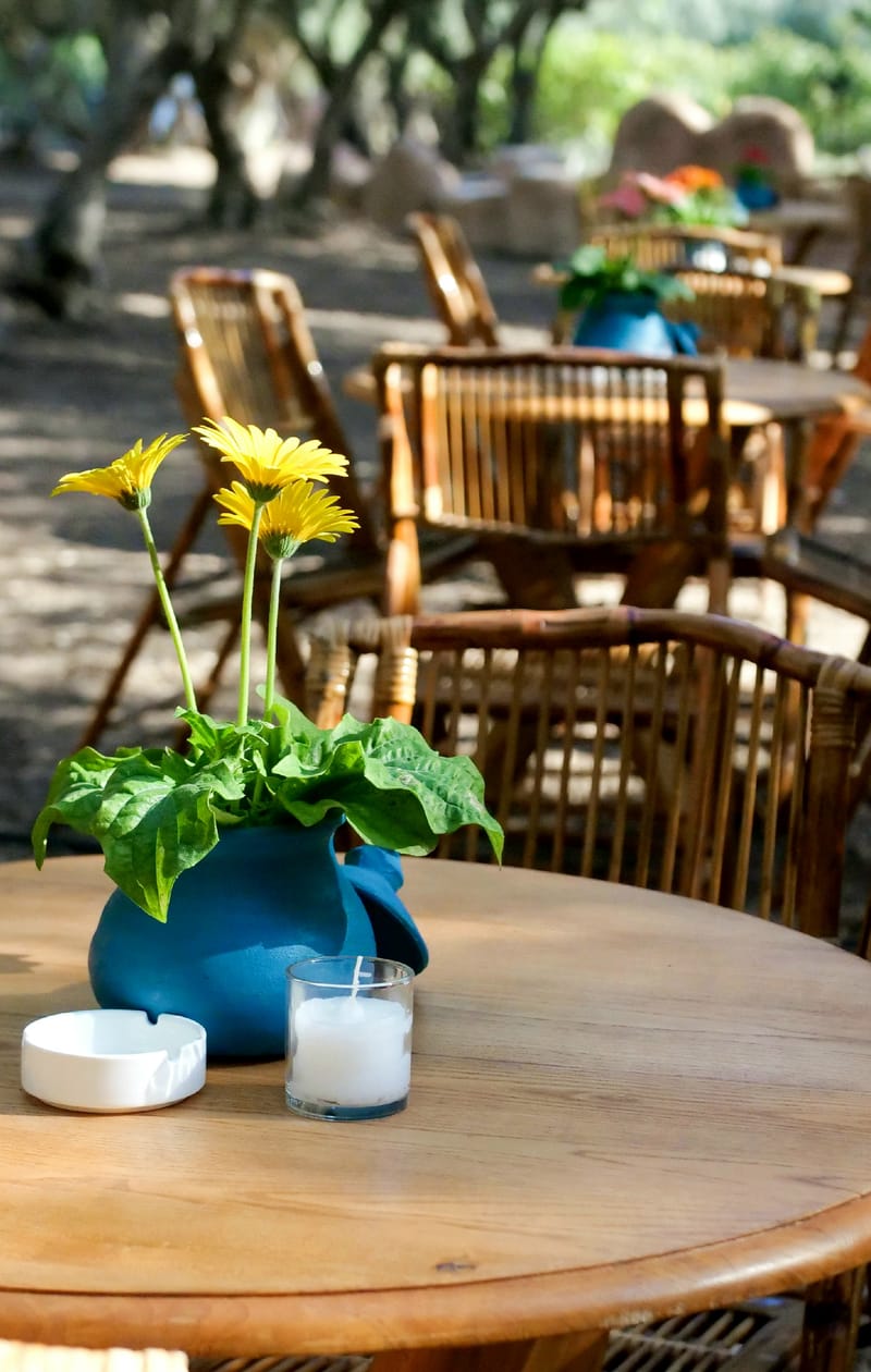 ליטל & לירז | 500 איש