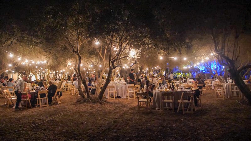 ליטל & לירז | 500 איש