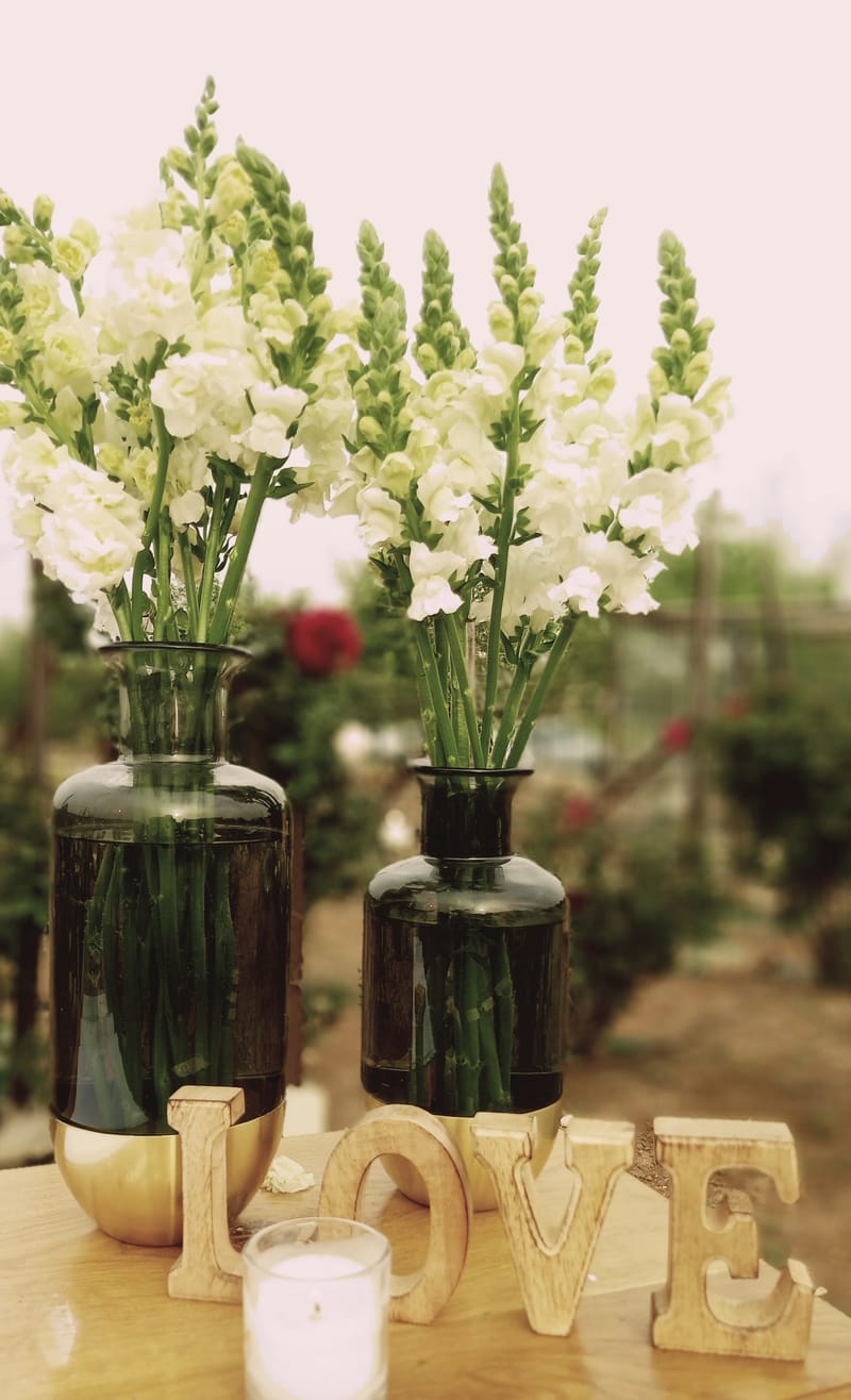 ויקטוריה & רן