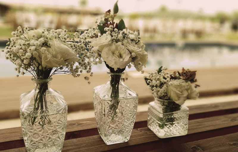 ויקטוריה & רן