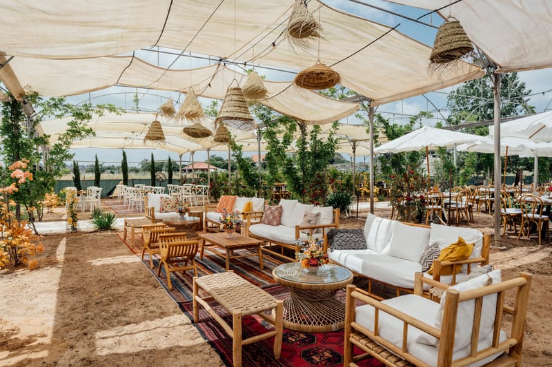 עדי & מקסוול