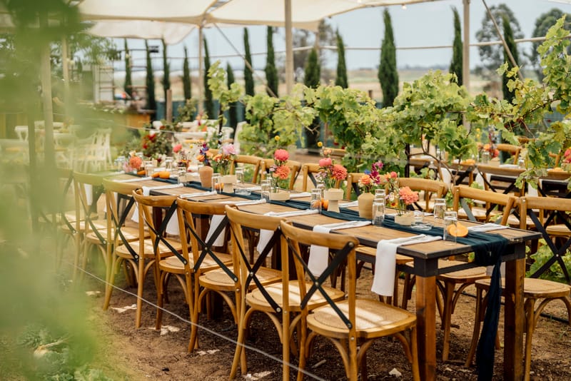 עדי & מקסוול