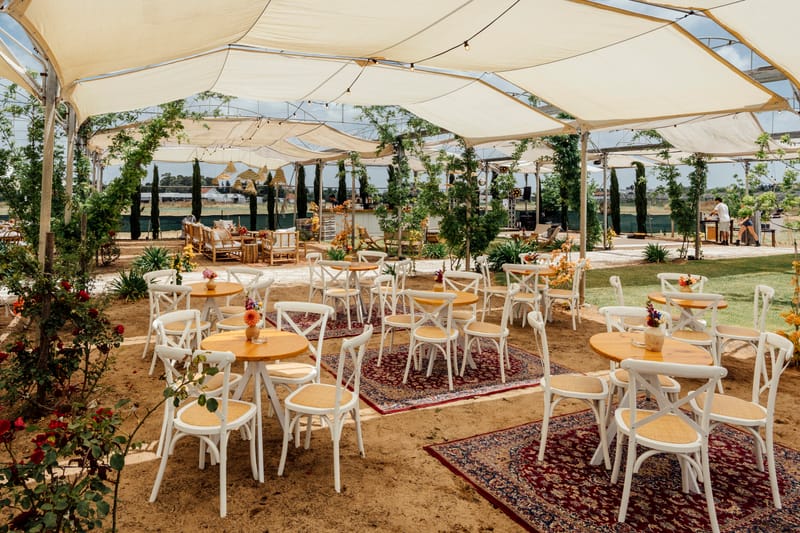 עדי & מקסוול