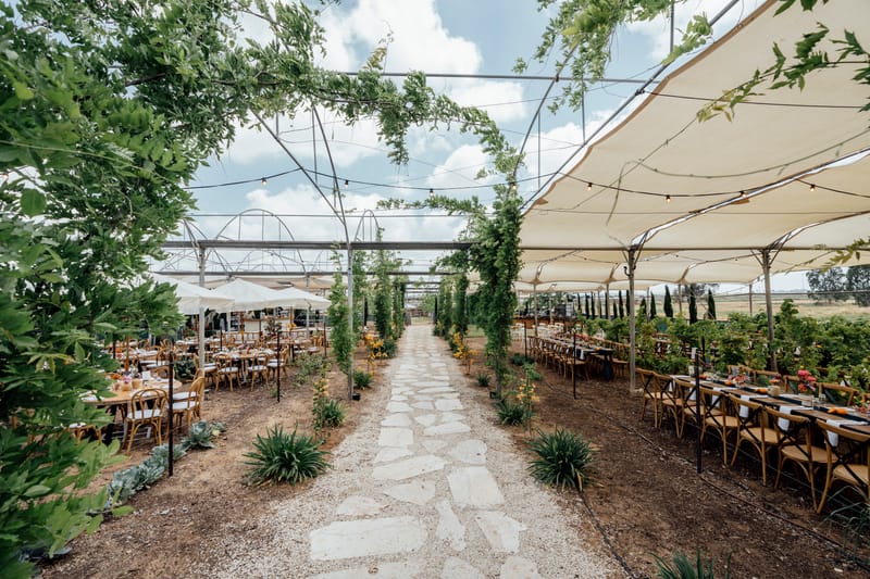 עדי & מקסוול