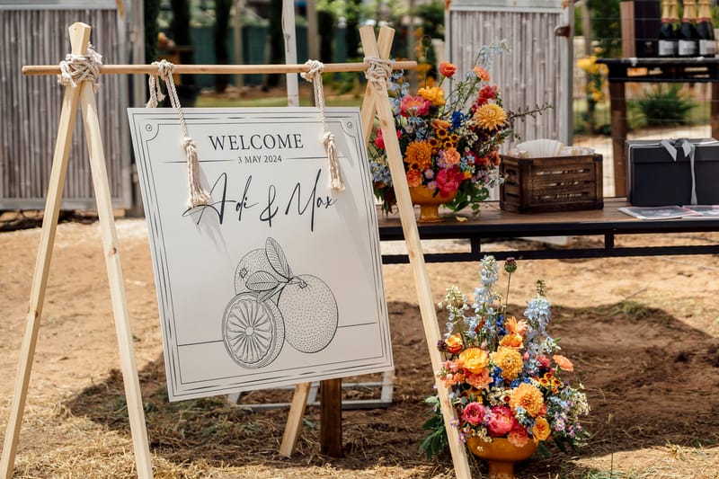 עדי & מקסוול