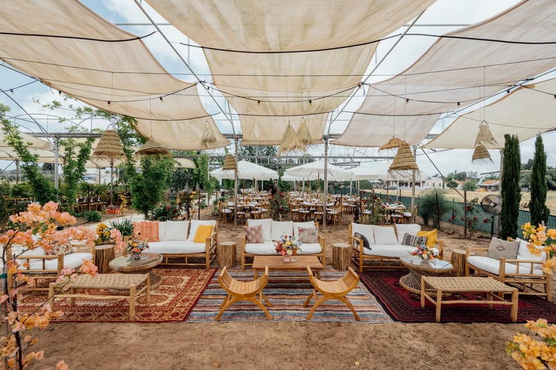 עדי & מקסוול