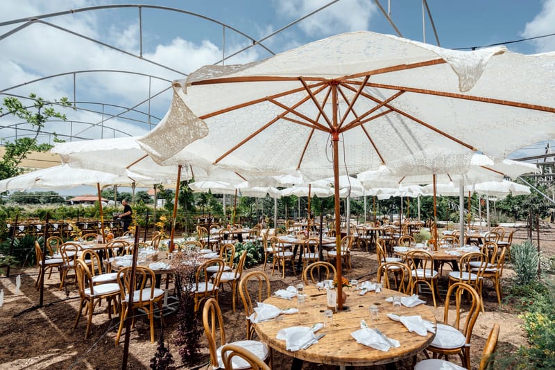 עדי & מקסוול