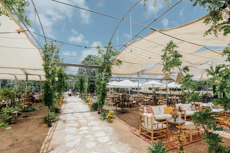 עדי & מקסוול