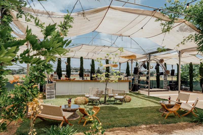 עדי & מקסוול