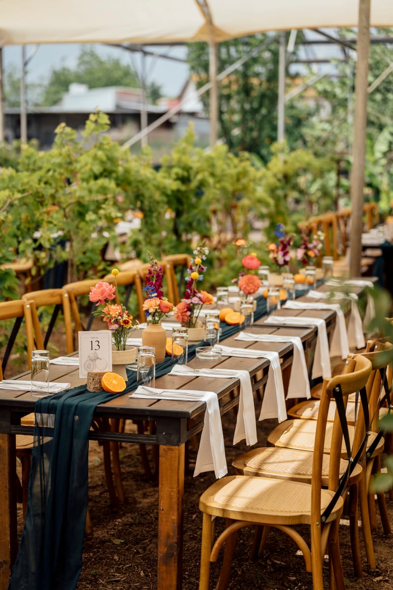 עדי & מקסוול