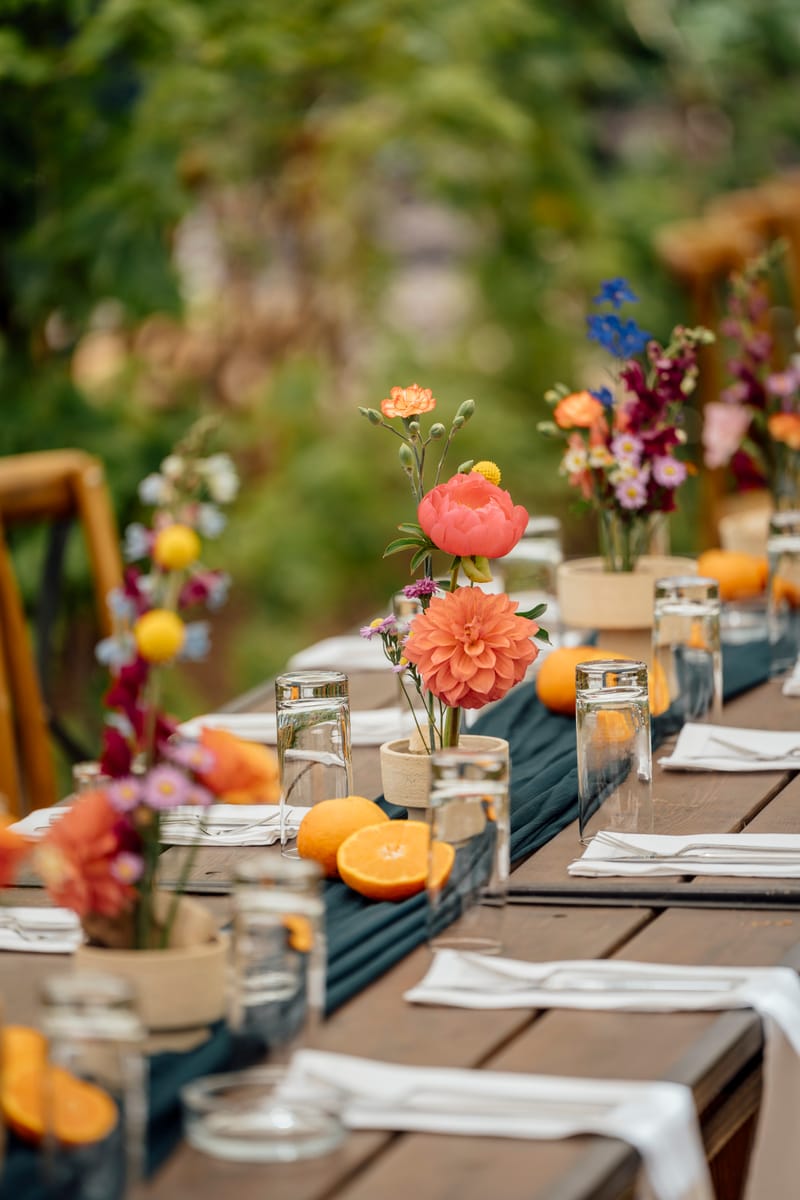 עדי & מקסוול