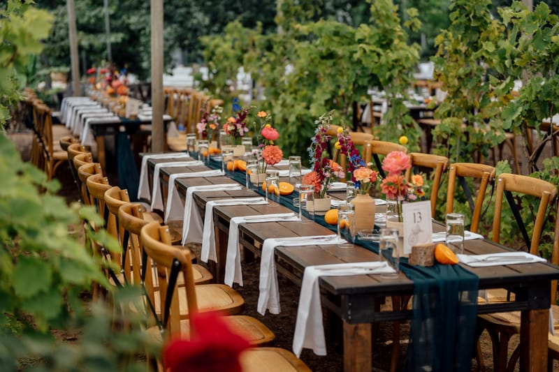 עדי & מקסוול