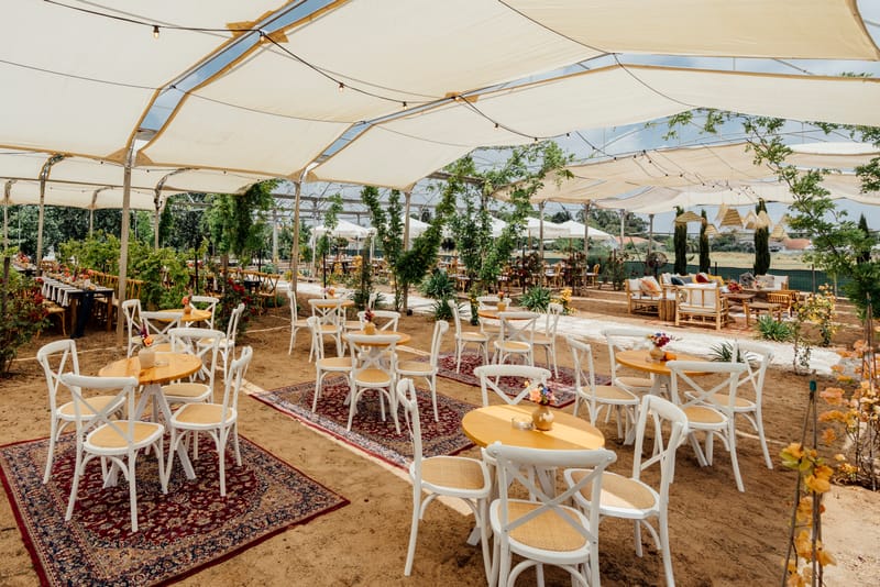 עדי & מקסוול