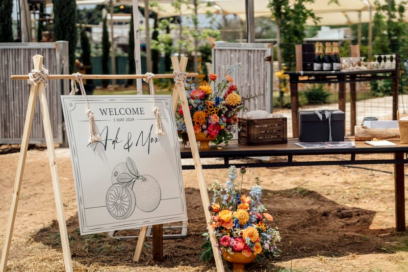 עדי & מקסוול