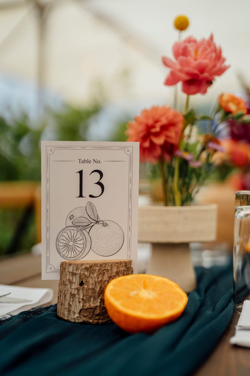 עדי & מקסוול