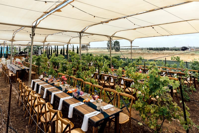 עדי & מקסוול