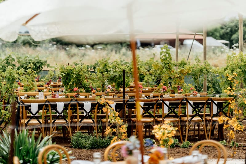 עדי & מקסוול