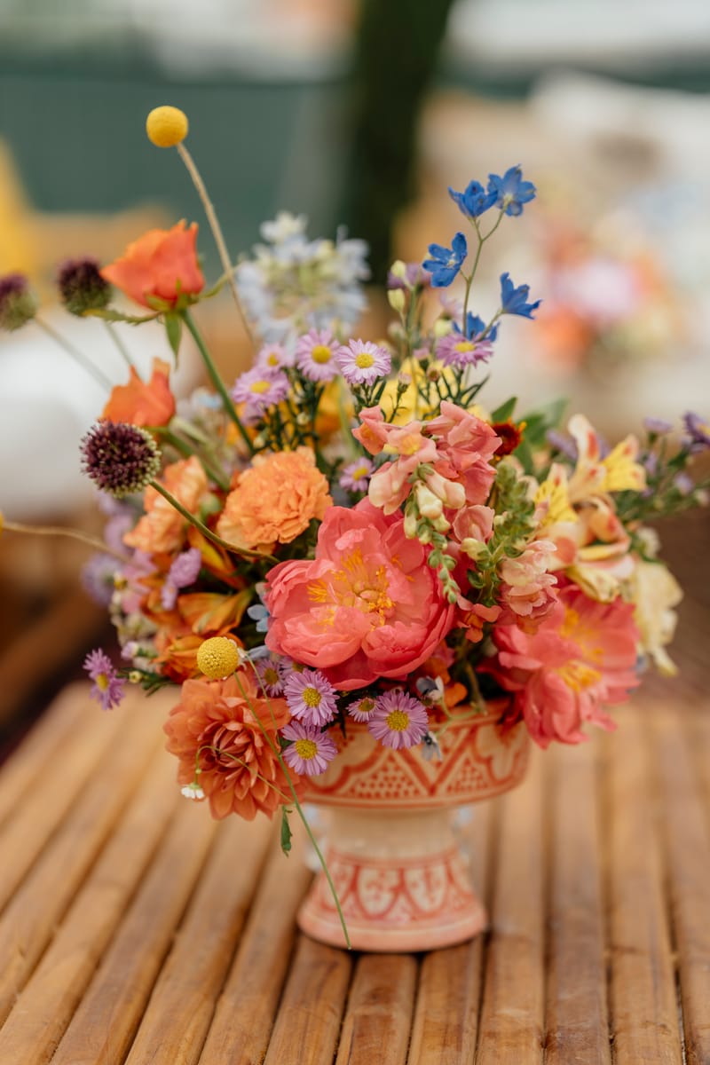 עדי & מקסוול