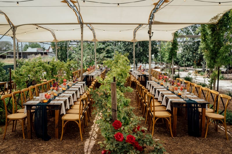 עדי & מקסוול